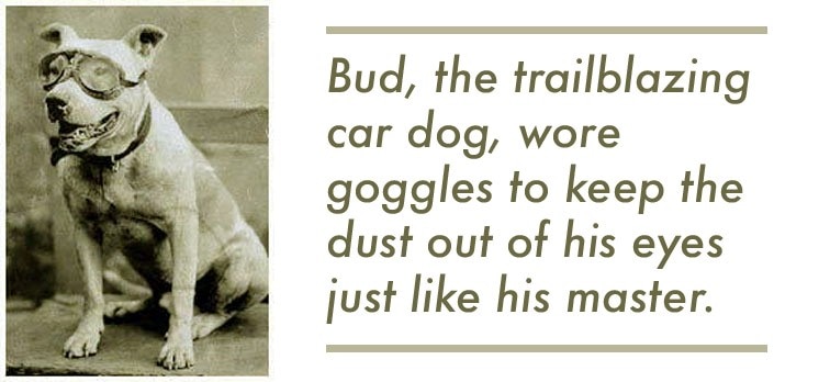 Dogs In Cars The Humans That Drive Them And What We Re Doing Wrong Capital One Auto Navigator