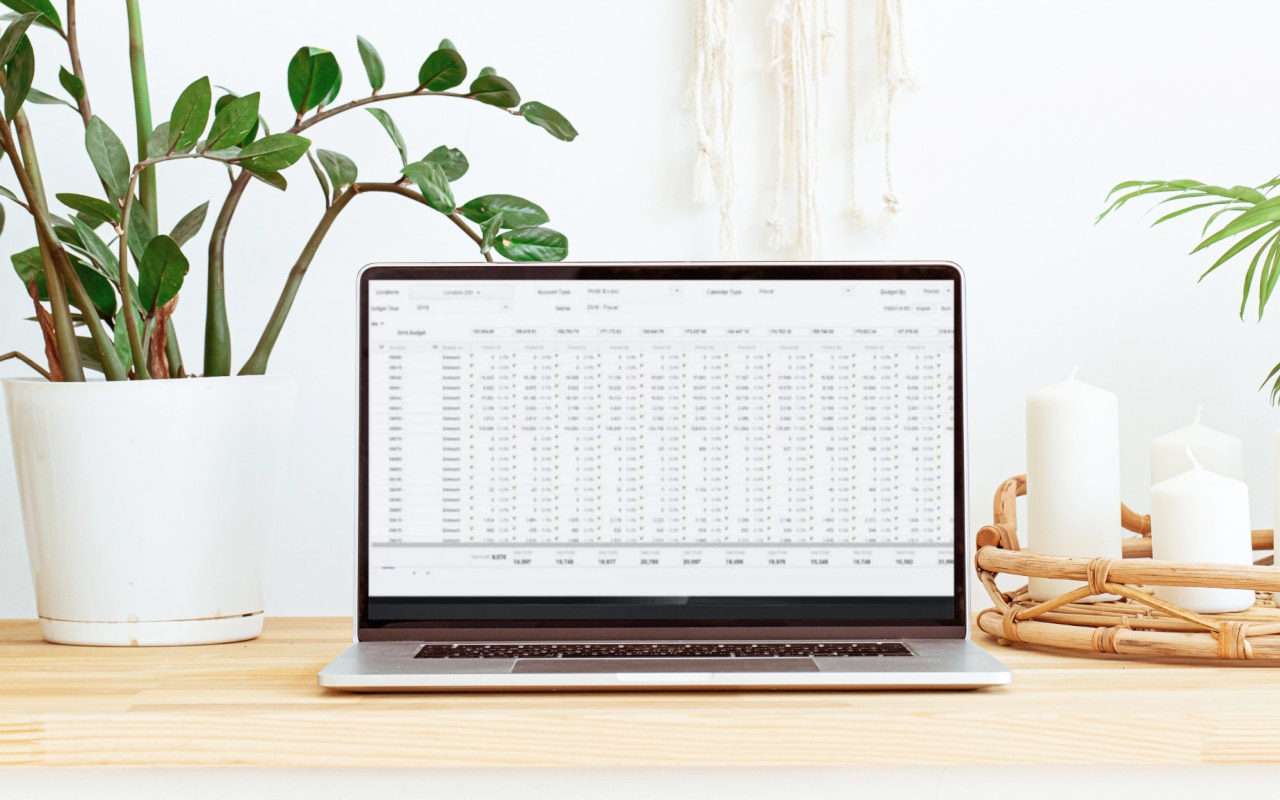 Laptop and plant on a table