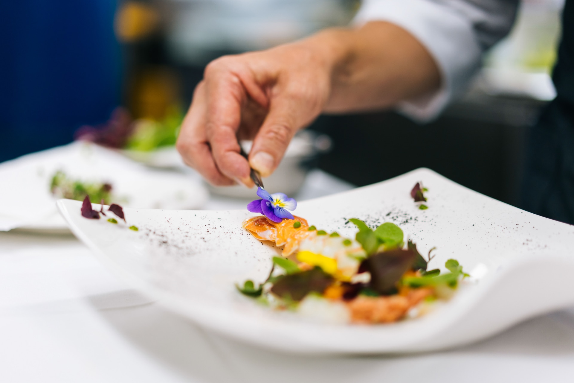 Venture X Rewards Capital One