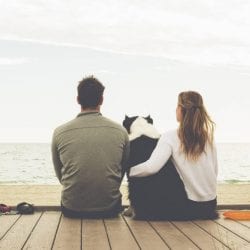 A couple and their dog sit on a boardwalk by the beach and watch the sunset.