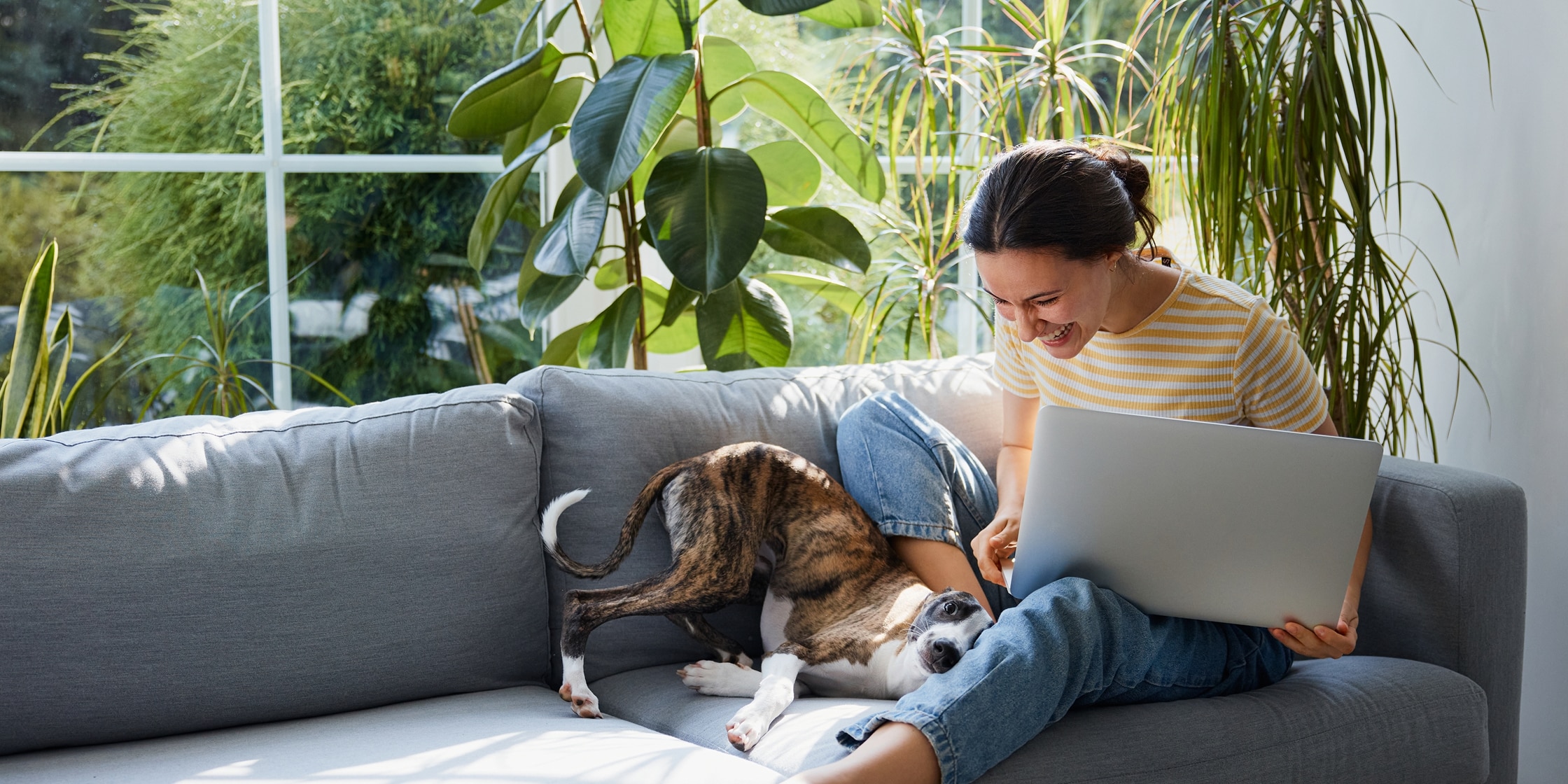 A woman and a dog playfully cuddle on the couch at home while she balances a laptop in her lap.