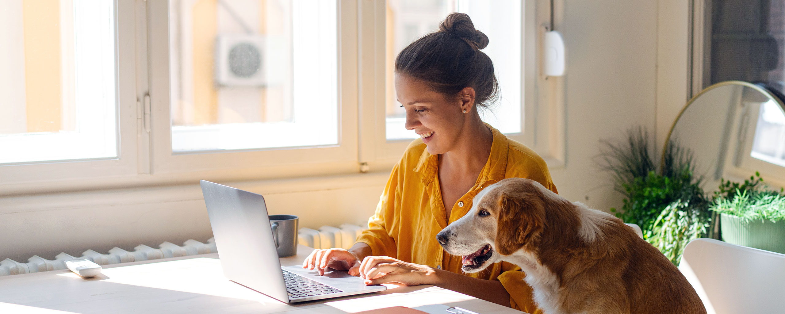 A woman sits at her laptop and reads about improving her credit while her cute dog looks on beside her.