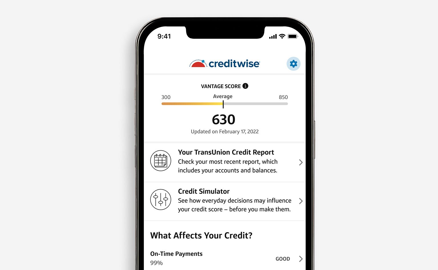 Does Checking Your Credit Score Lower It? Capital One