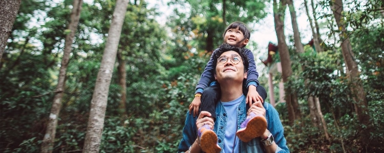 A person walks in a forest with a child on his shoulders.