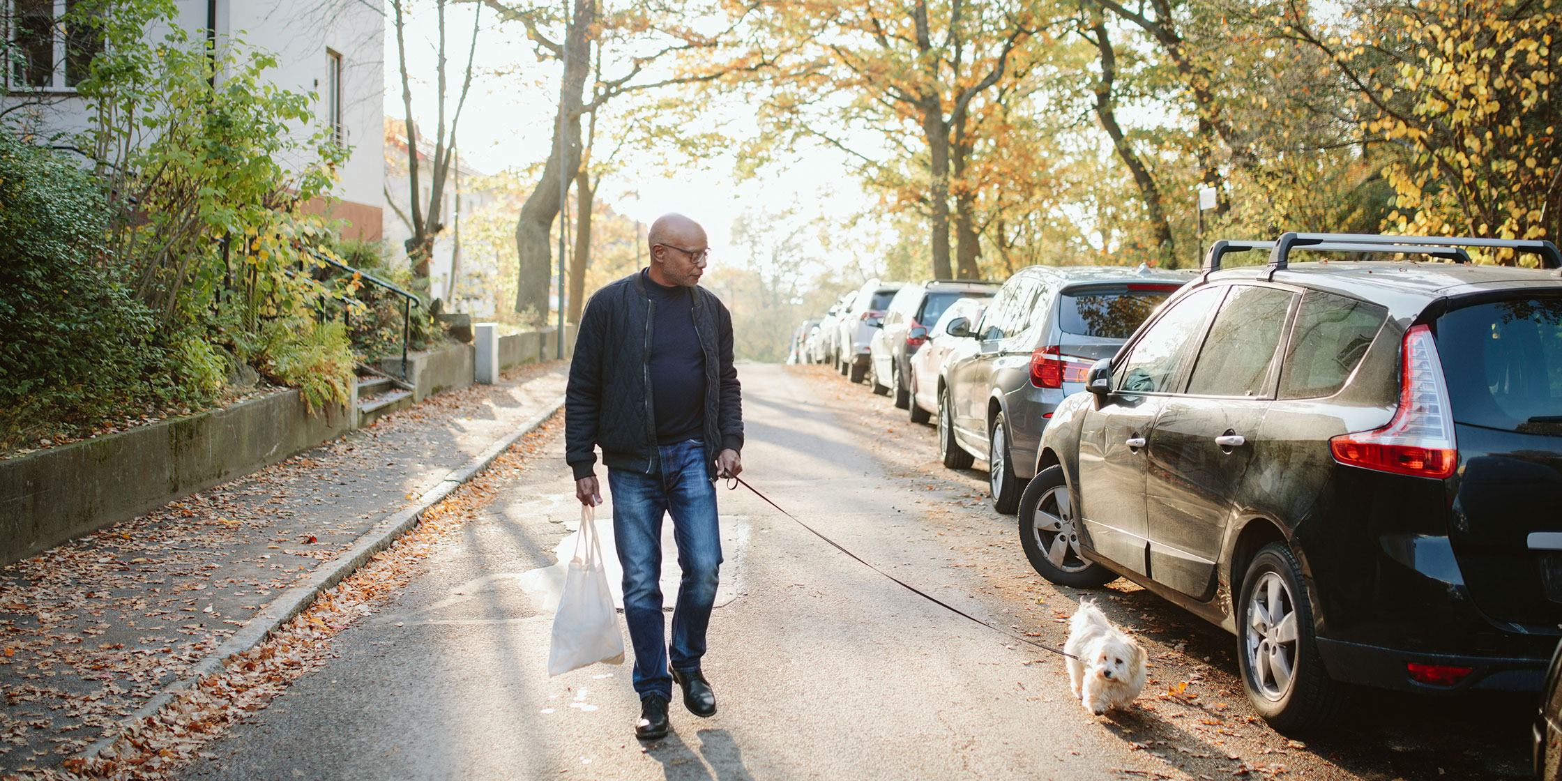 A person walks a small white dog down the middle of a tree-lined street.