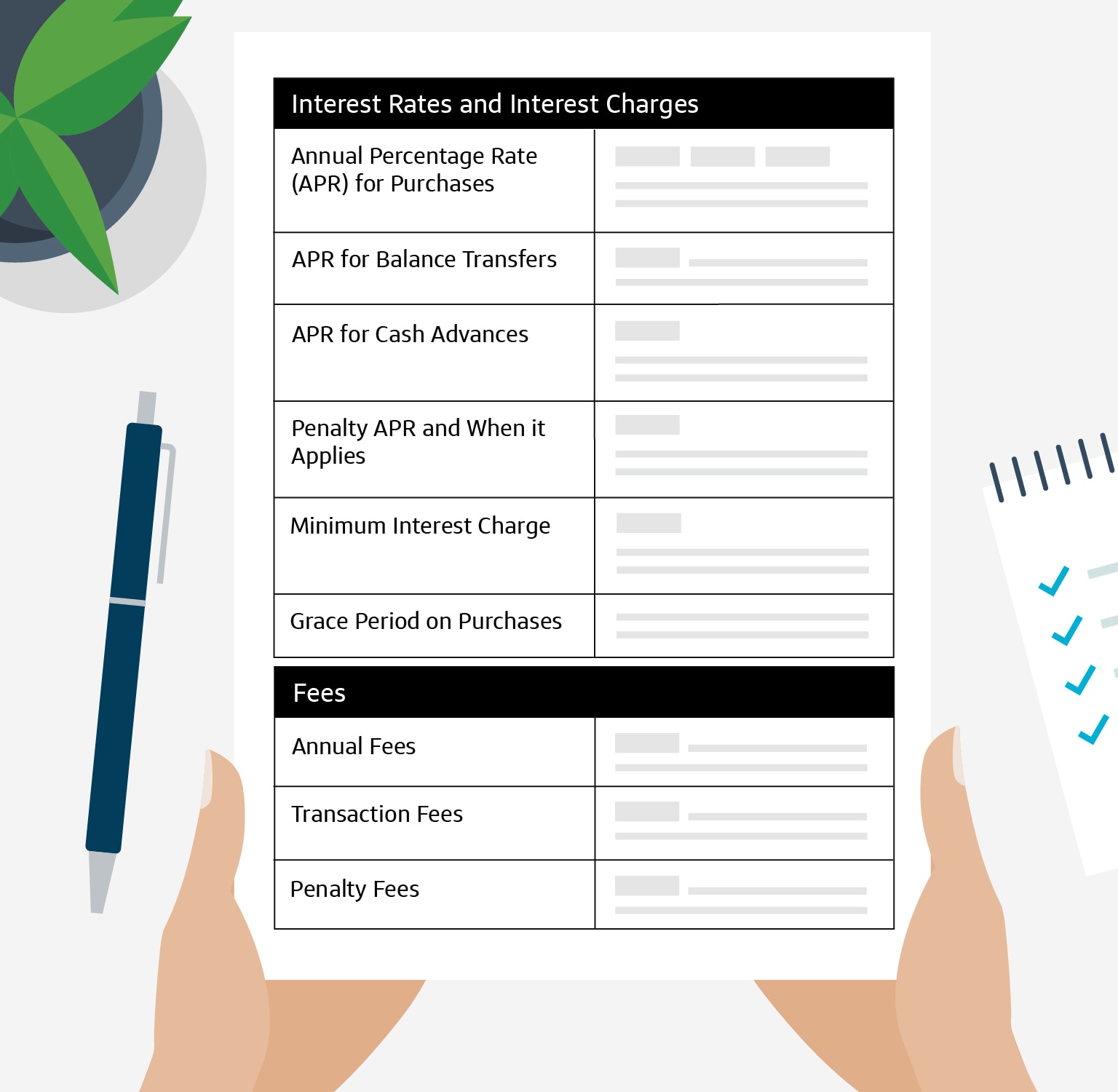 What Is a Schumer Box and How Do You Read It? Capital One