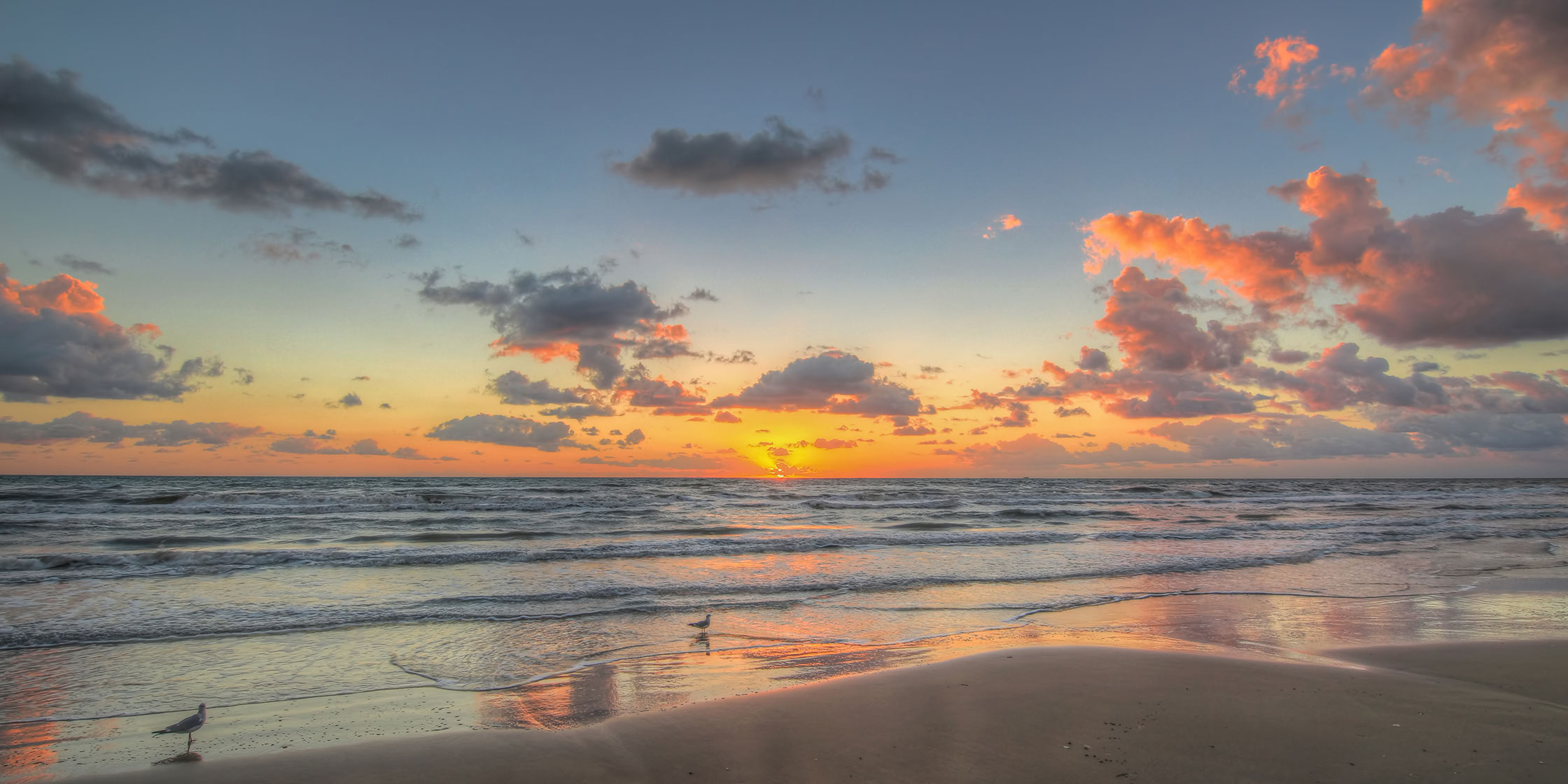 A Texas beach at sunset, with seabirds on the shore.