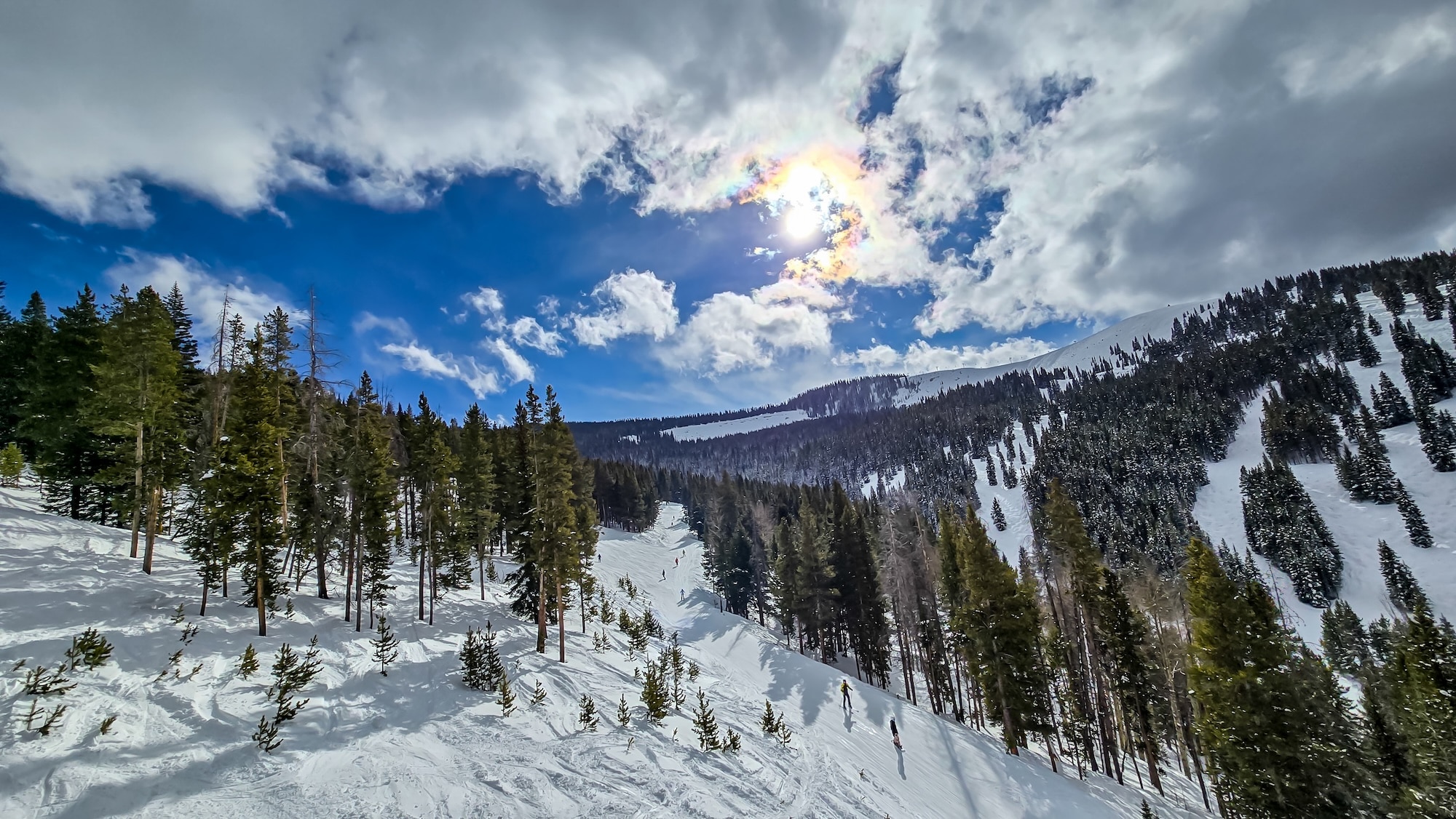 Skiers on a snowy, tree-lined mountain slope.
