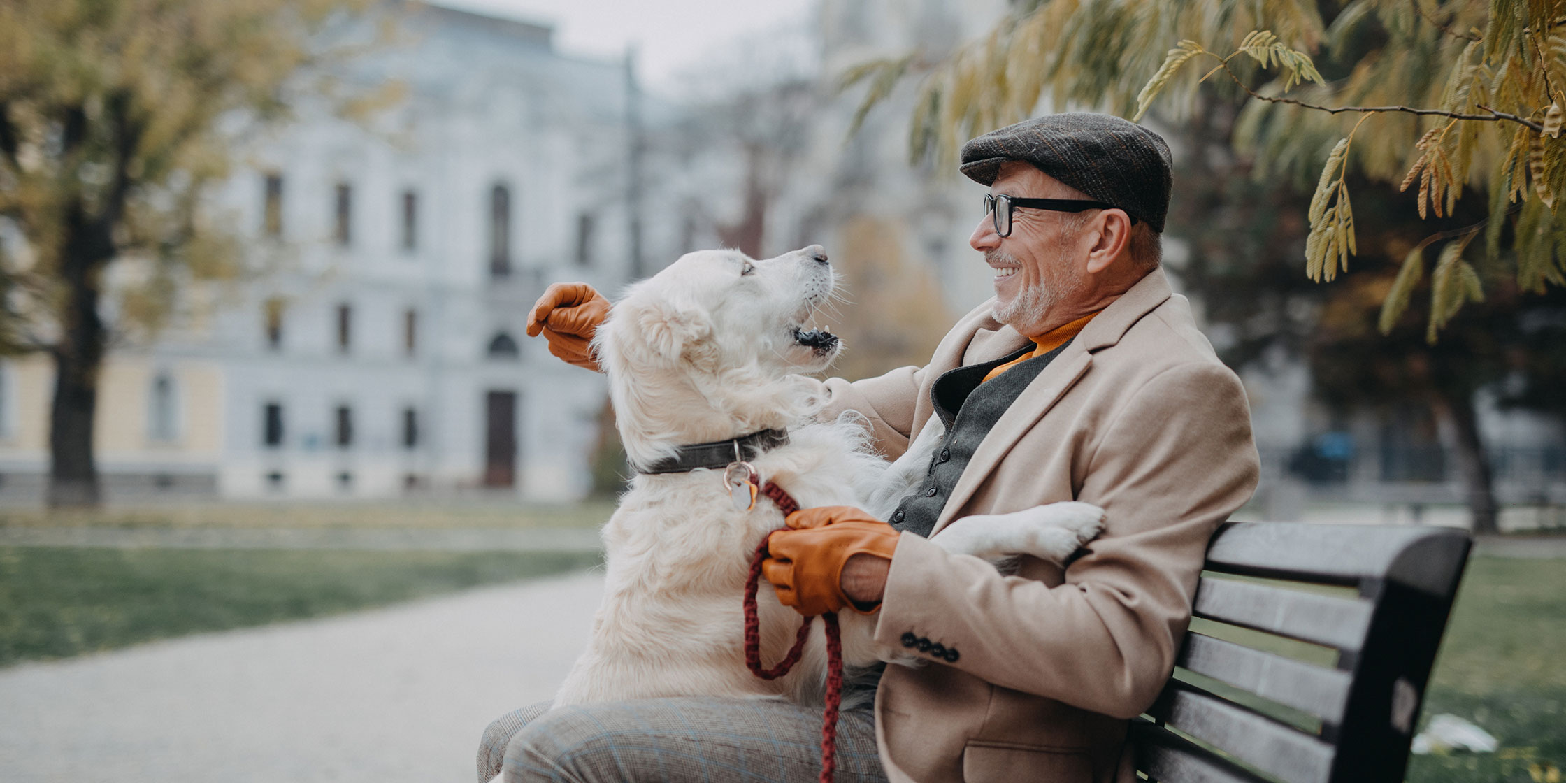 A man in an overcoat and cap sits on a park bench playing with his leashed dog.