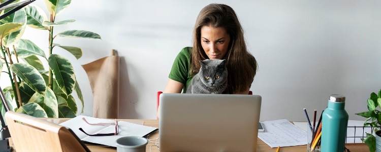 A person sits at a table with a cat on her lap while looking at an open laptop.