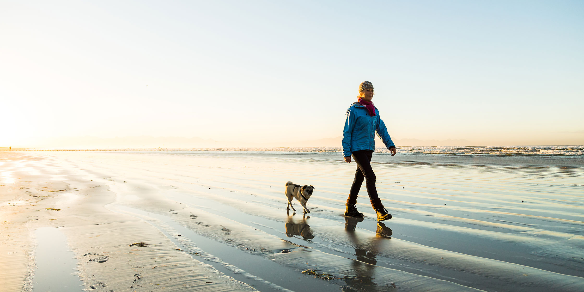 A dog walking on the beach with its owner.