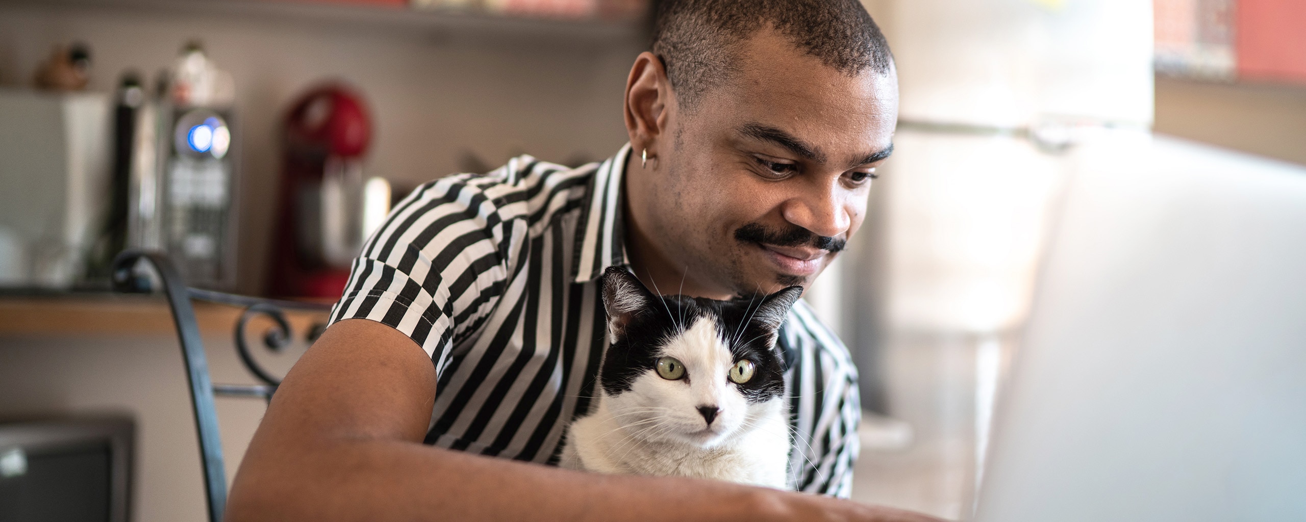 A person uses their computer as their black-and-white cat looks on.
