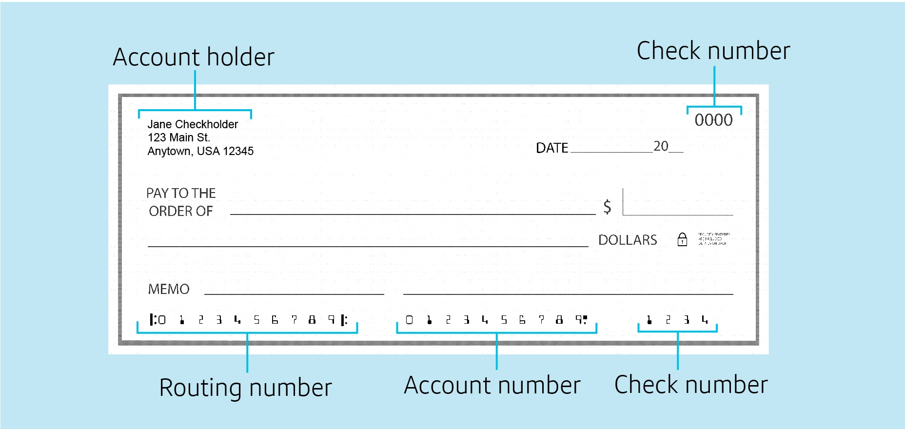 How to Write a Check in 6 Easy Steps | Capital One