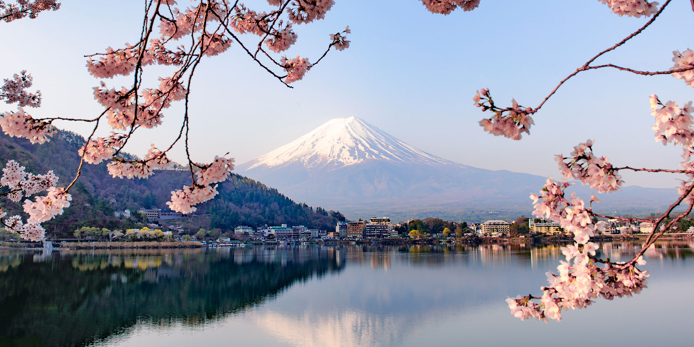 Lake Kawaguchiko framed by cherry blossom branches, with Mount Fuji in the background.