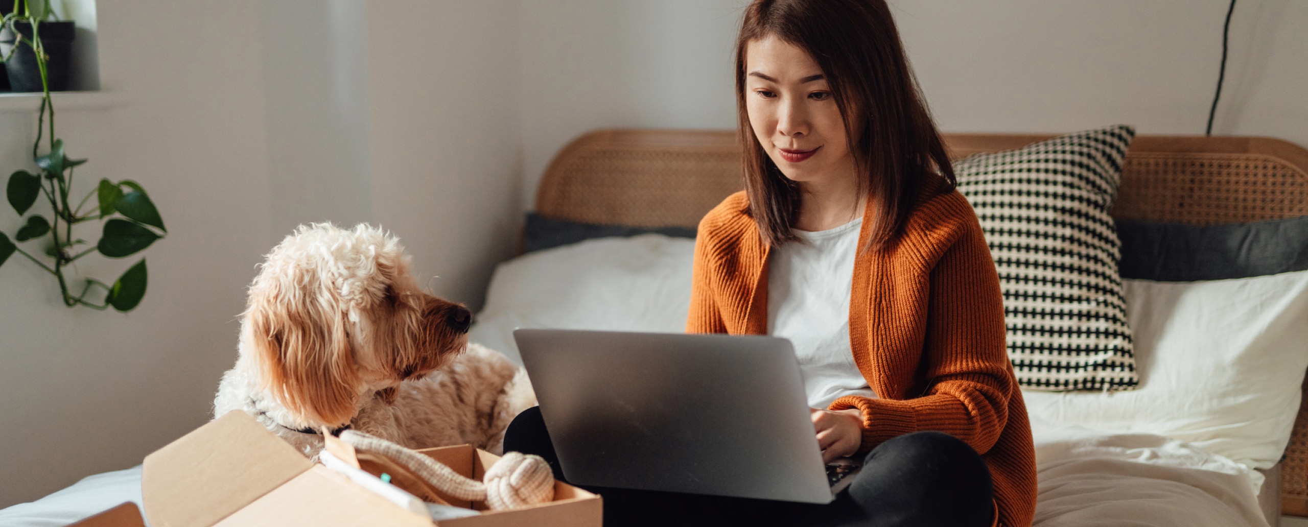 A woman in an orange cardigan sits on a bed using a laptop next to her dog and an open delivery box.