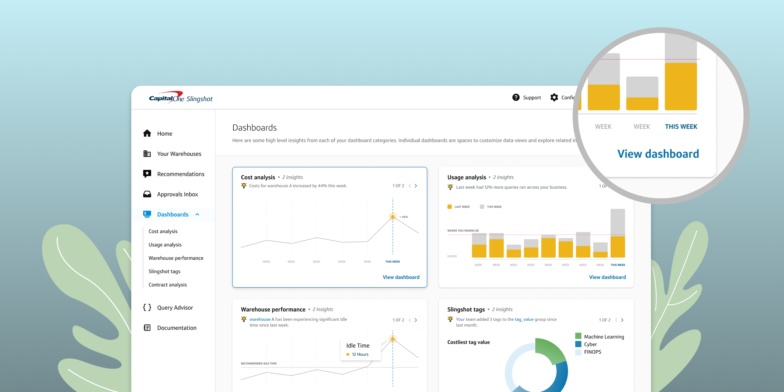 Capital One Slingshot cost insights dashboard