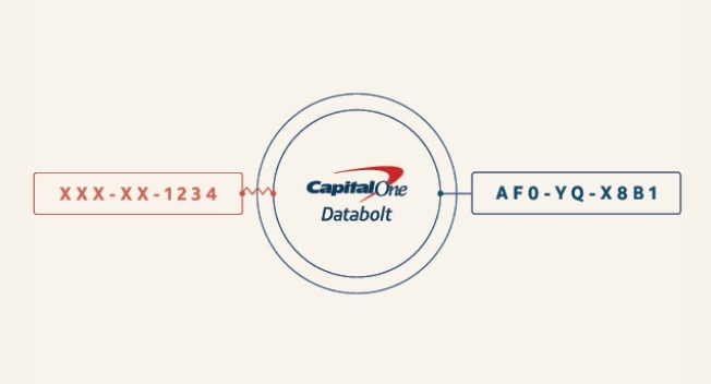 Tokenization process with Capital One Databolt logo