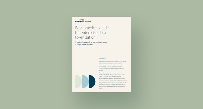 Digital copy of best practices guide for enterprise data tokenization
