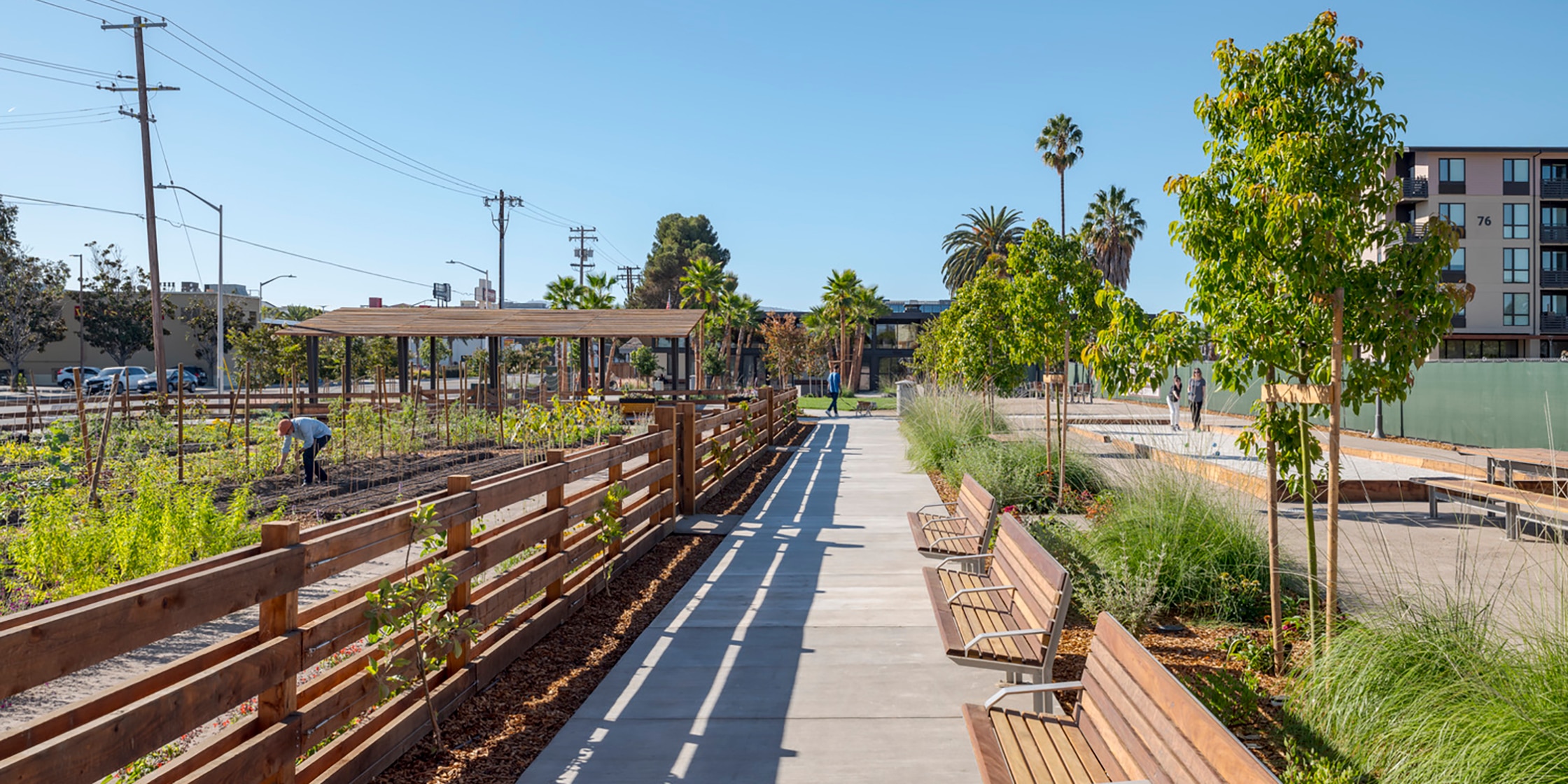 Steinberg Hart Santa Clara Agrihood Kyle Jeffers
