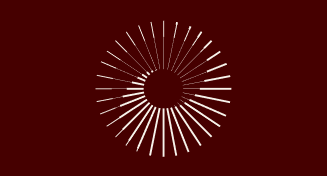 An abstract, circular diagram featuring white lines radiating outward on a dark maroon background, symbolizing tenant distribution and architecture.
