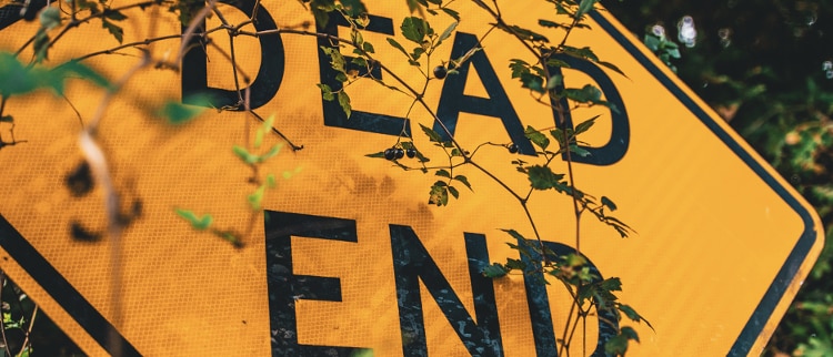 Close cropped view of a Dead End street sign framed by leafy green branches