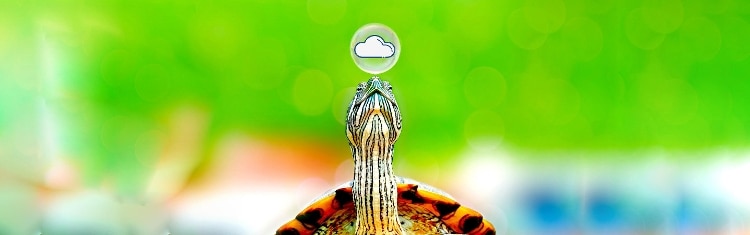 AWS Lambda Java Tutorial: Best Practices to take Cold Starts From Turtle to Hurtle