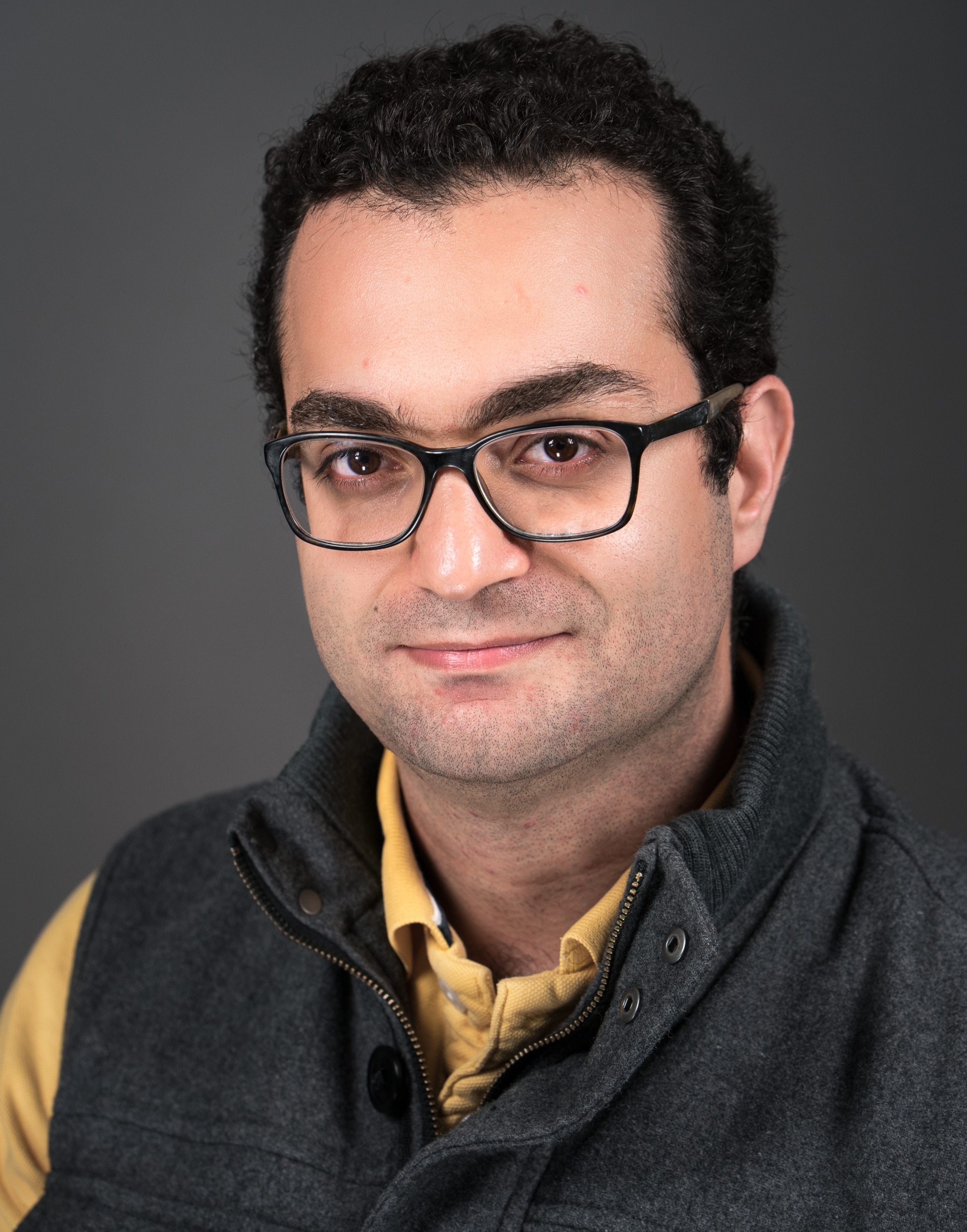 Mohammad Motamedi