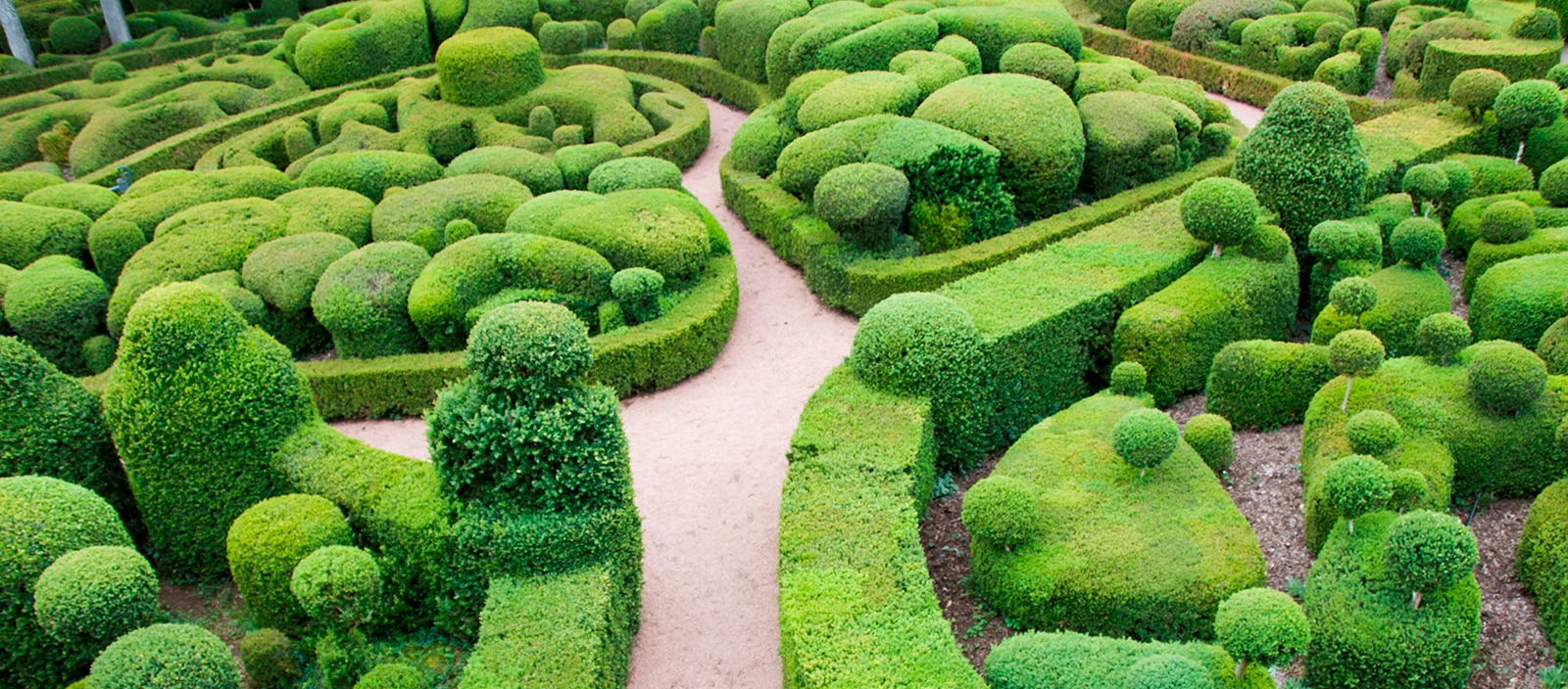garden of green hedges with tan path through middle